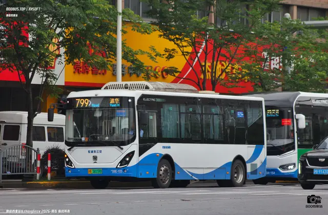 800BUS