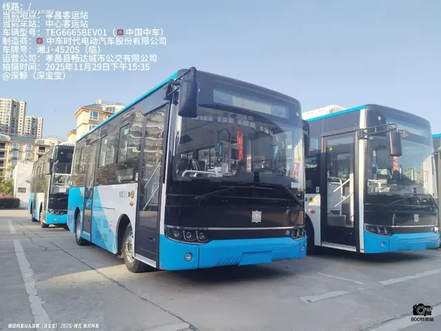 800BUS