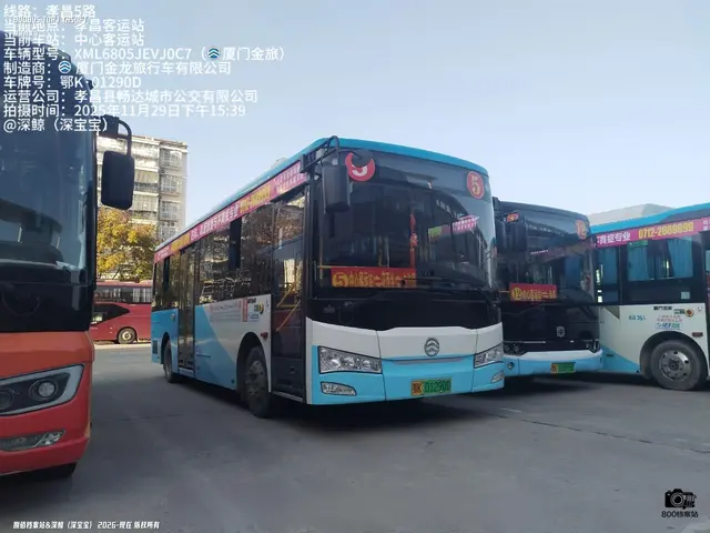 800BUS
