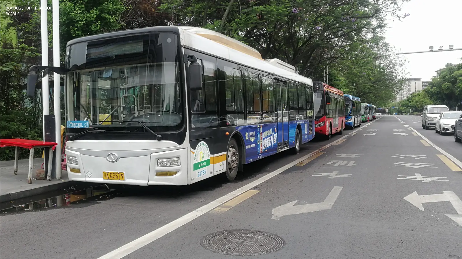 Bus Archive