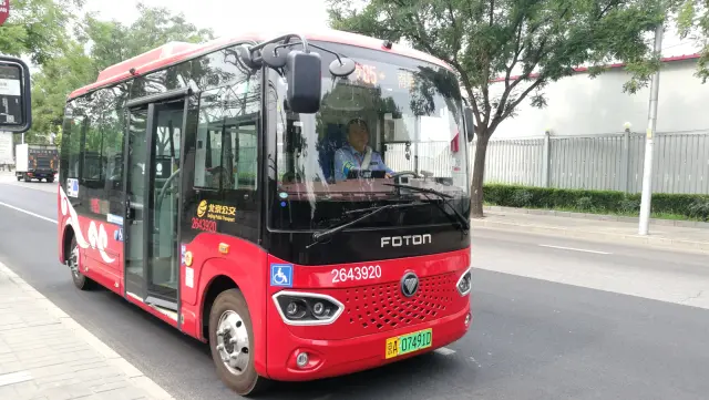 800BUS