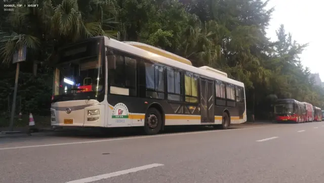 800BUS