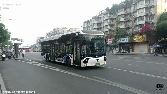 800BUS