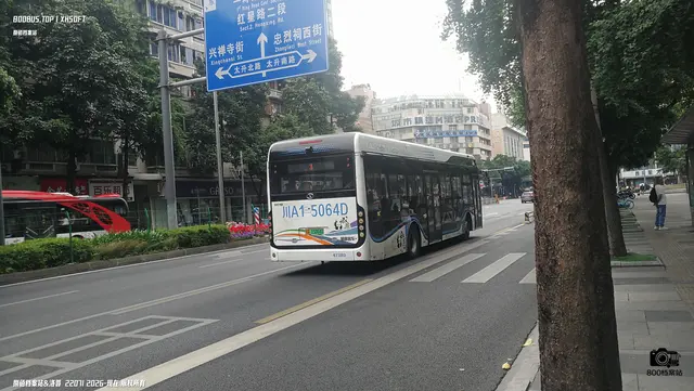 800BUS