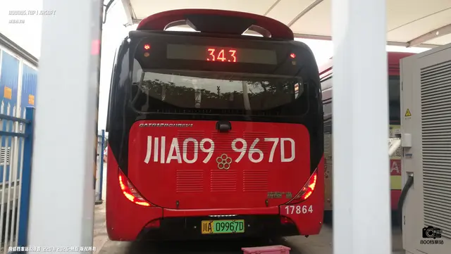 800BUS