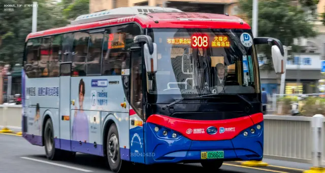 800BUS
