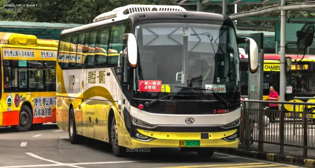 800BUS