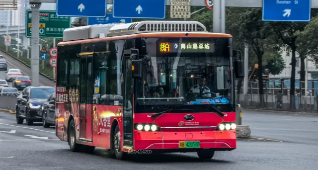 800BUS