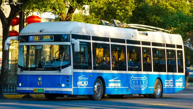 800BUS