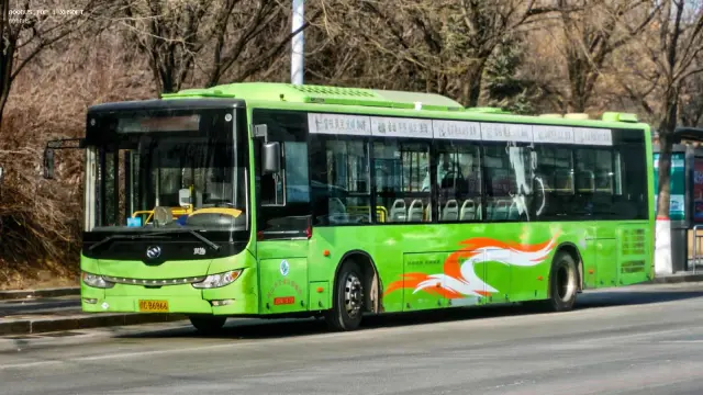 辽C·B6866