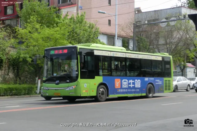 辽C·D8377