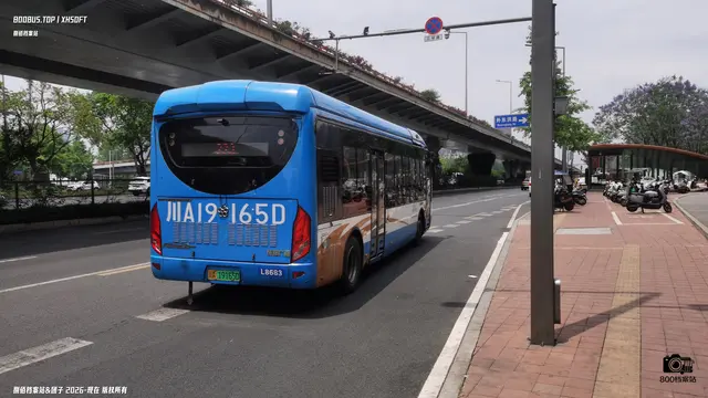 800BUS