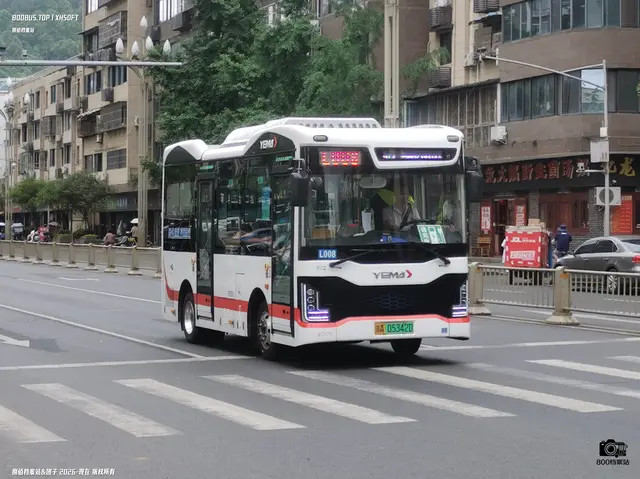 800BUS