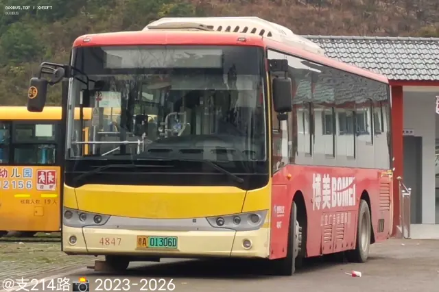 800BUS