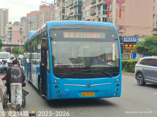 800BUS