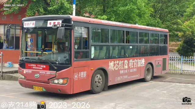 800BUS