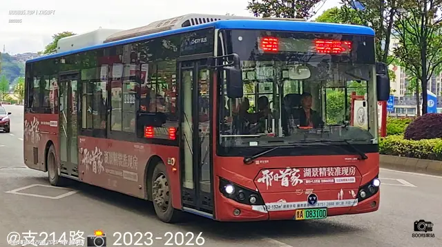 800BUS