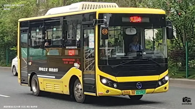 800BUS