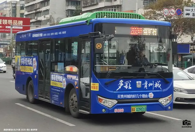 800BUS