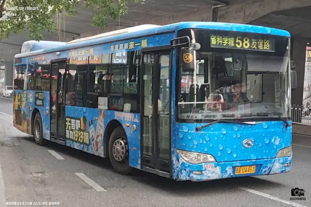 800BUS