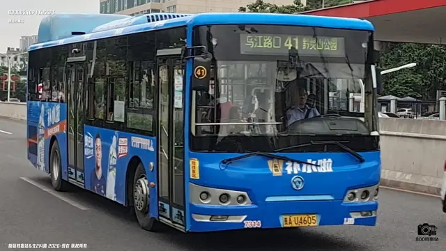800BUS