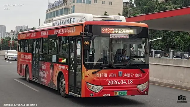 800BUS