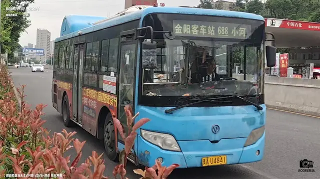 800BUS