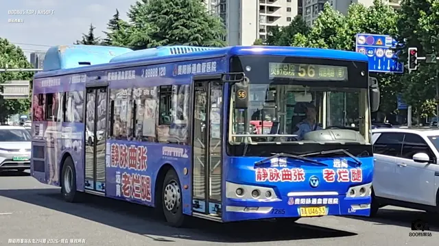 800BUS