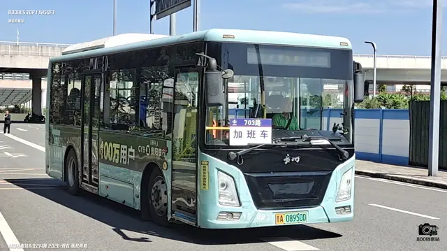 800BUS