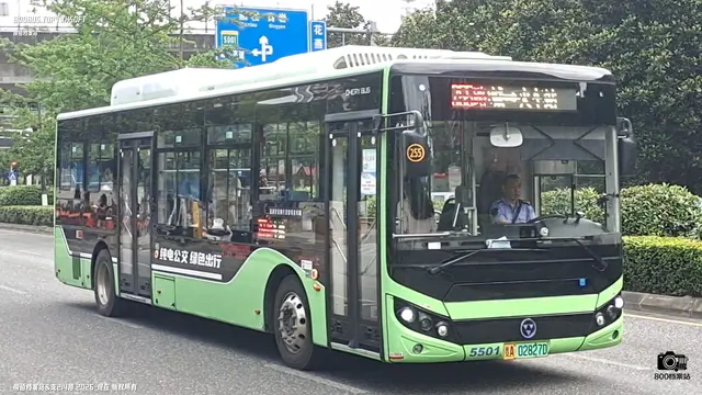 800BUS