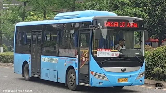 800BUS