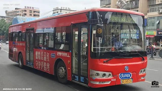800BUS