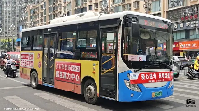 800BUS