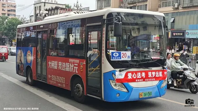 800BUS