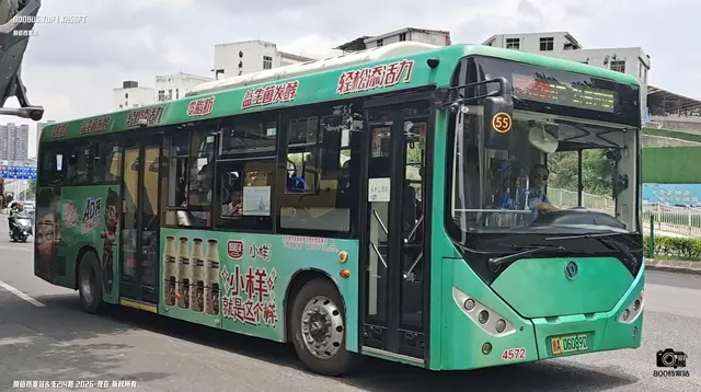 800BUS