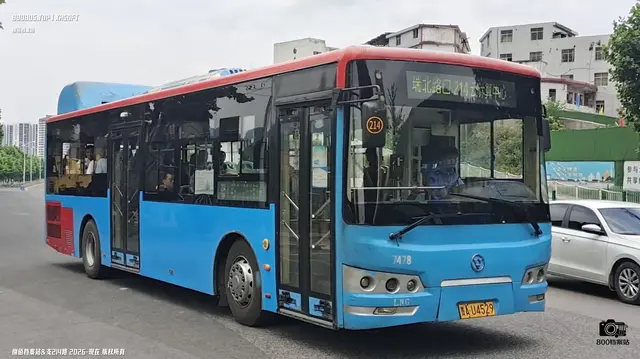 800BUS