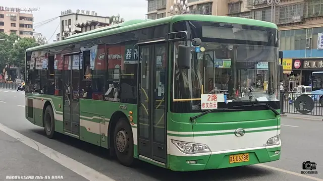 800BUS