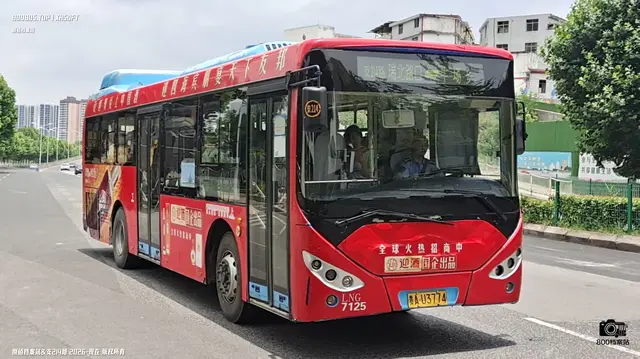 800BUS