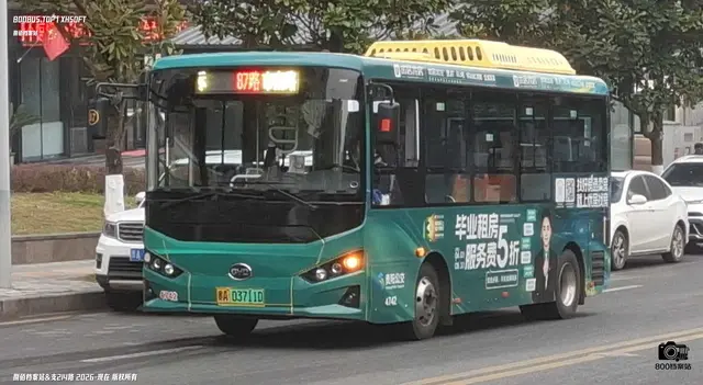 800BUS