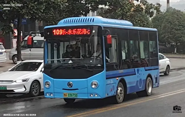 800BUS