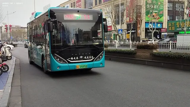 800BUS