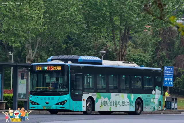 800BUS