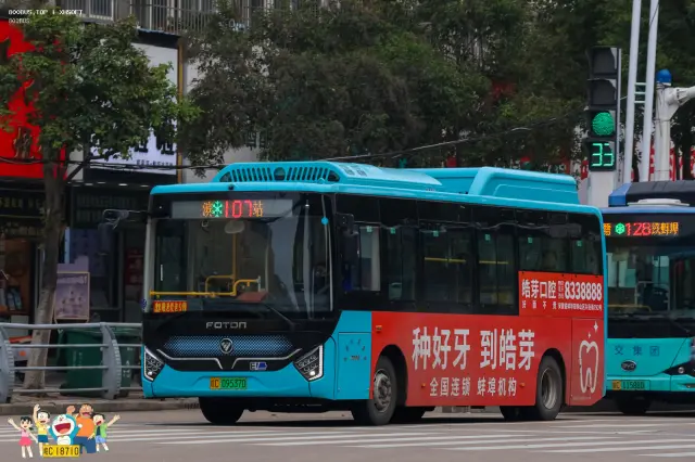 800BUS
