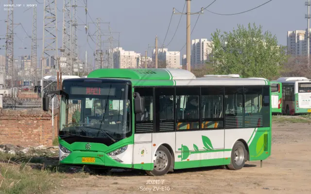 800BUS