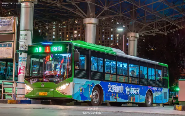 800BUS