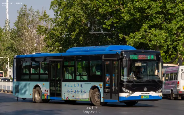 800BUS