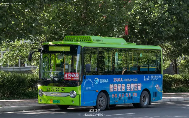 800BUS