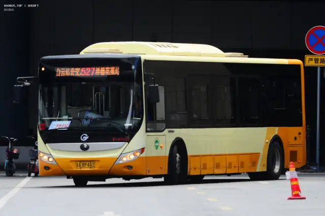 800BUS