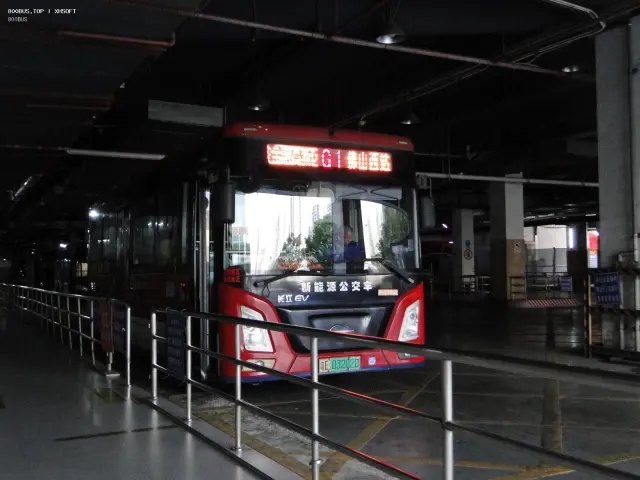 800BUS