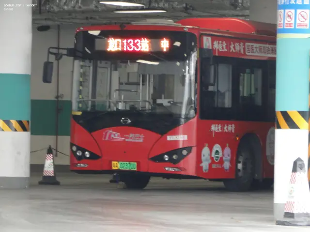 800BUS